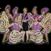 Cancan Violettes