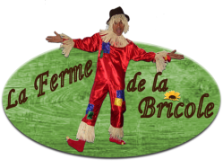 Logo bricole 2018