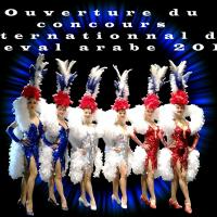 Plumes et paillettes au Salon du Cheval 2014